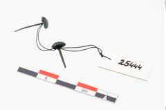 Foto von Bronzenagel (NHMW-PRAE-025444)
